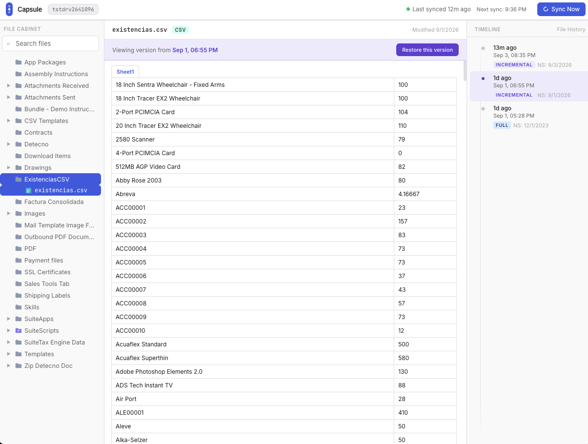 Capsule showing a file version and its snapshot timeline